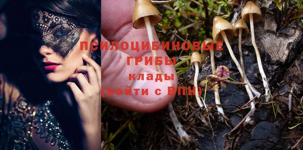 мет Нефтегорск