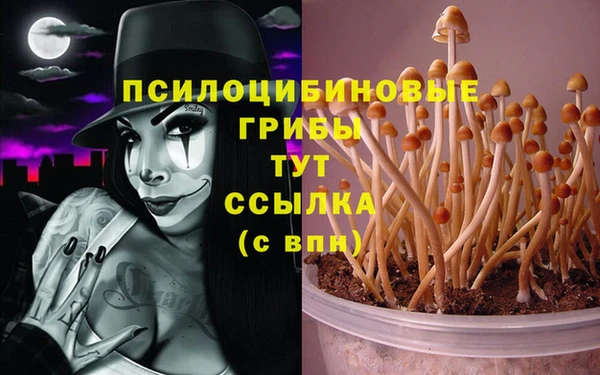 кокс Новодвинск