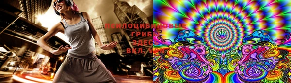 твердый Новокубанск