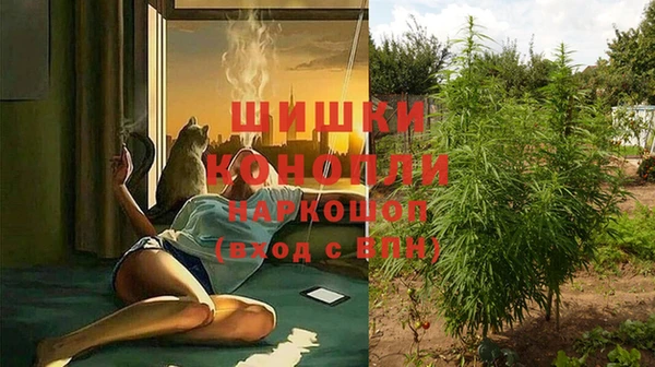 прущая мука Новозыбков