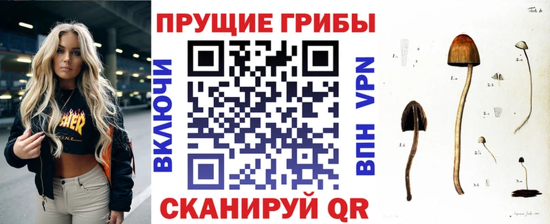 Галлюциногенные грибы мицелий  Темников 